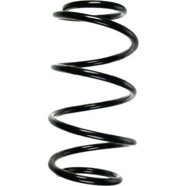 Spidan | Fahrwerksfeder | 85957
