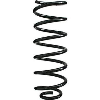 Spidan | Fahrwerksfeder | 49316
