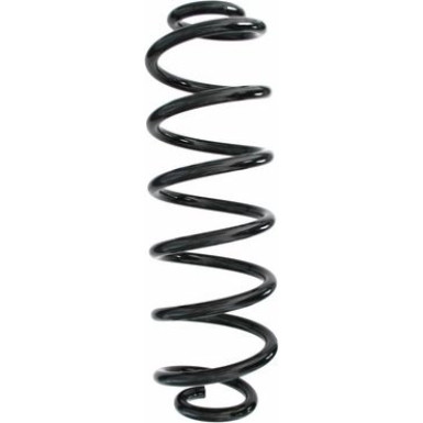 Spidan 2 x SPIDAN Fahrwerksfeder 87175