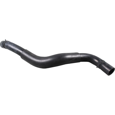 2421690 Kühlerschlauch 2421690 Kühlerschlauch