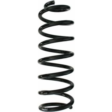 Spidan | Fahrwerksfeder | 48661