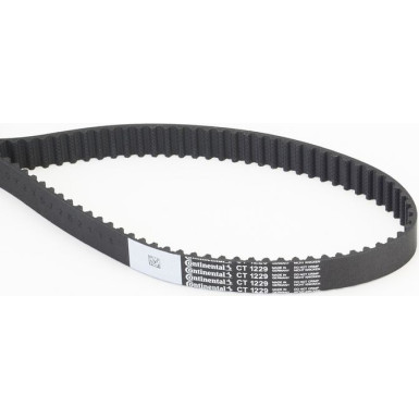 CT1229 Zahnriemen