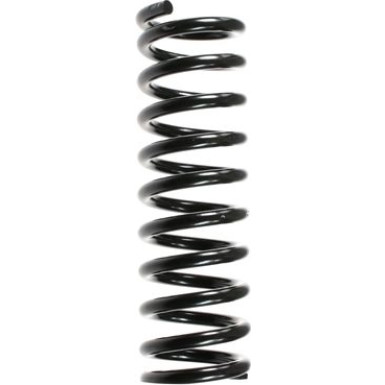 Spidan | Fahrwerksfeder | 48678