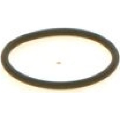 BOSCH | Dichtring | 1 410 257 042