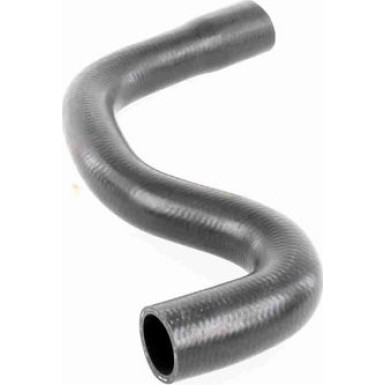 Vaico | Kühlerschlauch | V42-0664 Vaico | Kühlerschlauch | V42-0664