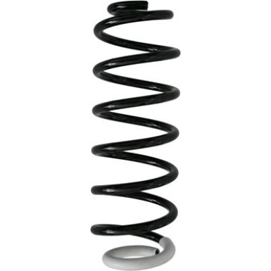 Spidan | Fahrwerksfeder | 87371