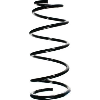 Spidan | Fahrwerksfeder | 55893