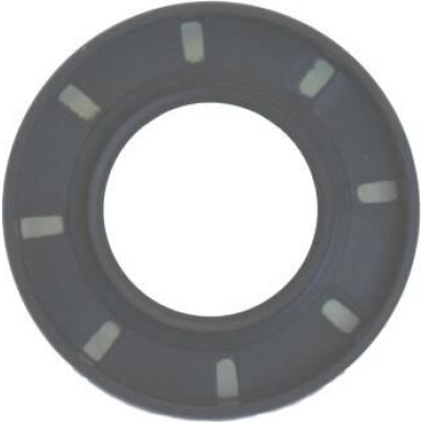 19015049B Wellendichtring, Differential