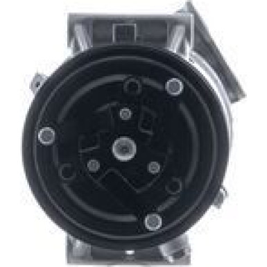 Mahle | Kompressor, Klimaanlage | ACP 1565 000P