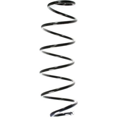 Spidan | Fahrwerksfeder | 55163