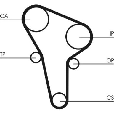 CT513 Zahnriemen