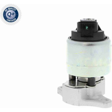 V51-63-0005 AGR-Ventil, Abgassteuerung Q+, Erstausrüsterqualität