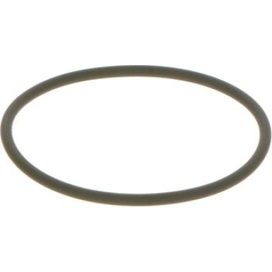 BOSCH | Dichtring | F 00N 201 306