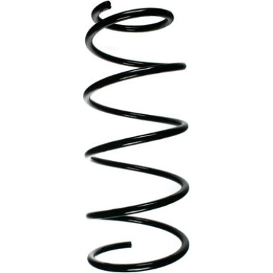 Spidan | Fahrwerksfeder | 49537
