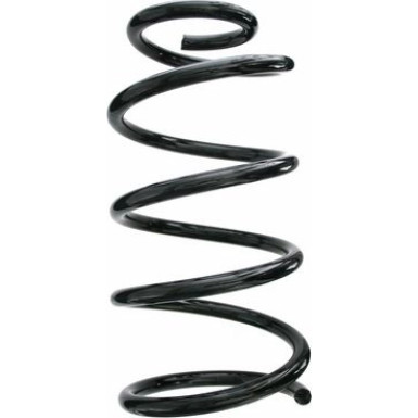 Spidan | Fahrwerksfeder | 87646