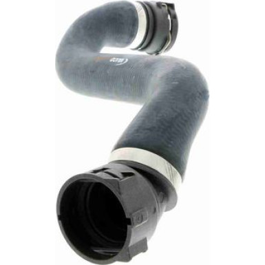 Vaico | Kühlerschlauch | V20-1336 Vaico | Kühlerschlauch | V20-1336