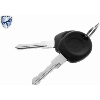 V10-6124 Türaußengriff EXPERT KITS +