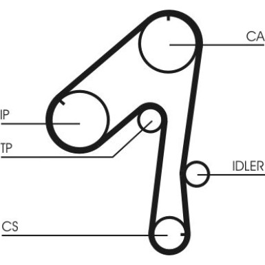CT786 Zahnriemen