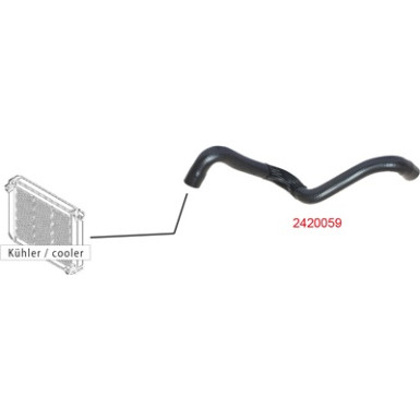 2420059 Kühlerschlauch