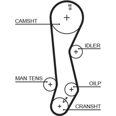5389XS Zahnriemen PowerGrip™