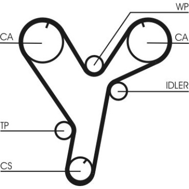 CT1080 Zahnriemen