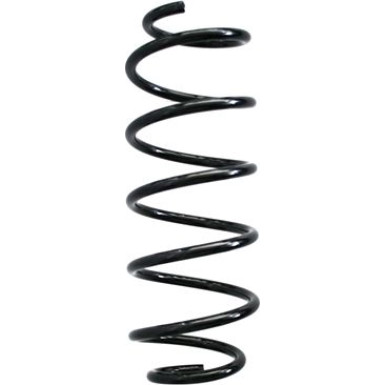 Spidan 2 x SPIDAN Fahrwerksfeder 86755