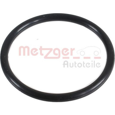 2430047 Dichtring, Ladeluftschlauch