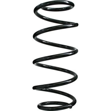 Spidan | Fahrwerksfeder | 49334