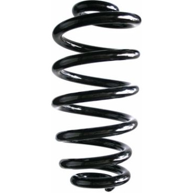 Spidan | Fahrwerksfeder | 86931