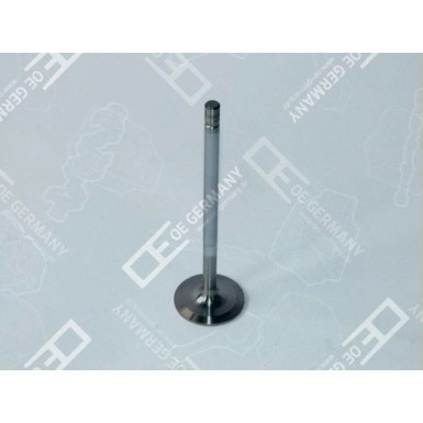 06 0520 XF9500 Einlassventil