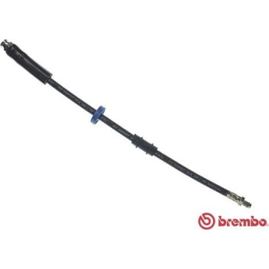 Brembo | Bremsschlauch | T 61 008