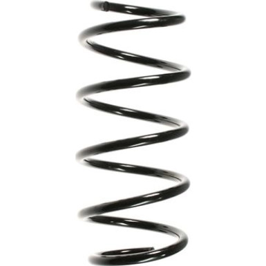 Spidan | Fahrwerksfeder | 55963