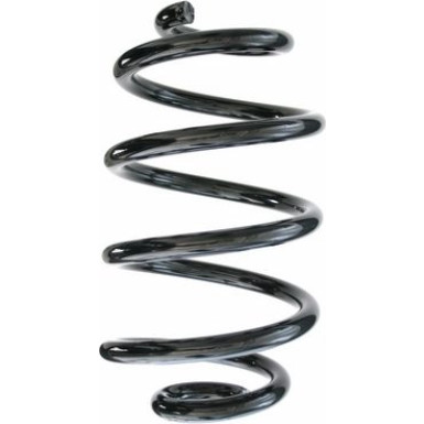 Spidan | Fahrwerksfeder | 87451