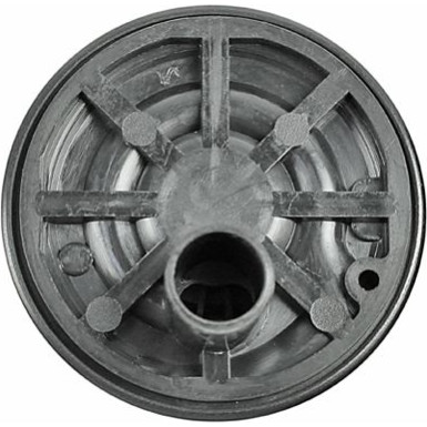 2250070 Kraftstoffpumpe