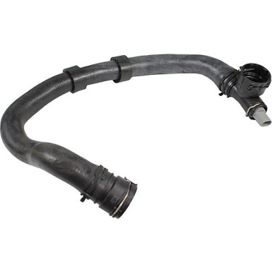 2421522 Kühlerschlauch