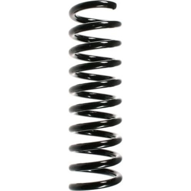 Spidan | Fahrwerksfeder | 49420