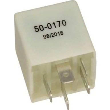 50-0170 Relais, Kraftstoffpumpe