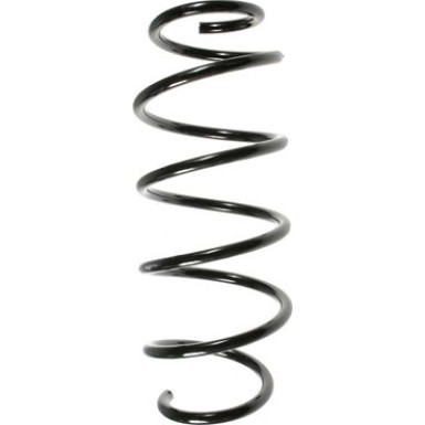 Spidan | Fahrwerksfeder | 55339