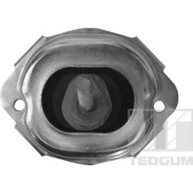 Tedgum | Lagerung, Motor | 00088547