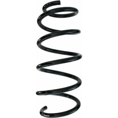 Spidan | Fahrwerksfeder | 87510