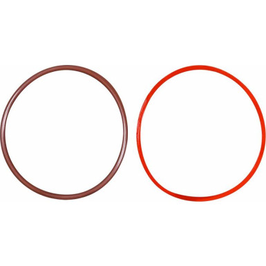 6NU 010 171-701 AGR-Ventil