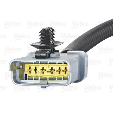 Valeo | AGR-Ventil | 700409