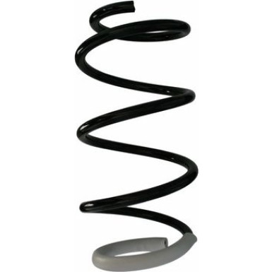 Spidan | Fahrwerksfeder | 87858