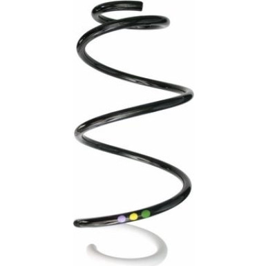 Spidan | Fahrwerksfeder | 87871