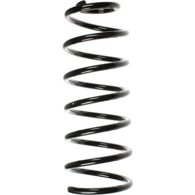 Spidan | Fahrwerksfeder | 55067