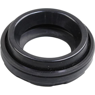 0873018 Dichtung, Düsenhalter