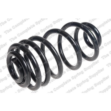 4263507 Fahrwerksfeder 4263507 Fahrwerksfeder