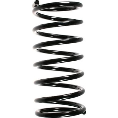 Spidan | Fahrwerksfeder | 55766