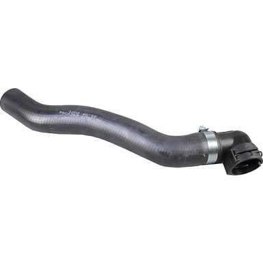 2421094 Kühlerschlauch 2421094 Kühlerschlauch