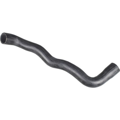 2420912 Kühlerschlauch